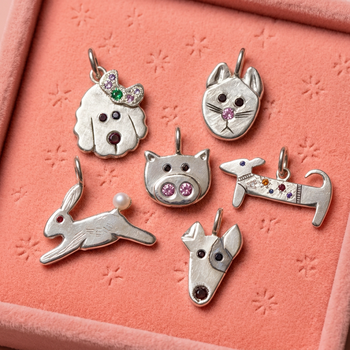 A collection of Stargazer Pet Pendants on a Coral Colour background