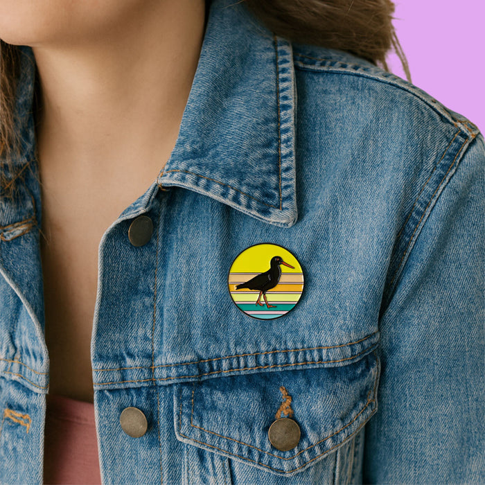 South African Bird Brooches