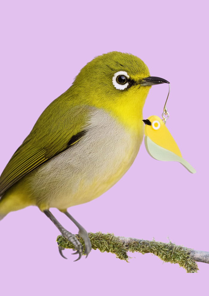 South African Bird Earrings