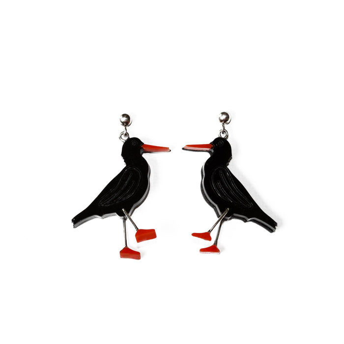 African Black Oyster Catcher Perspex Earrings