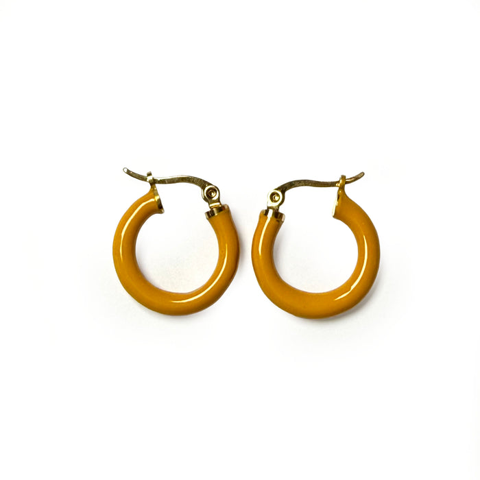 Titanium Hoop Earrings