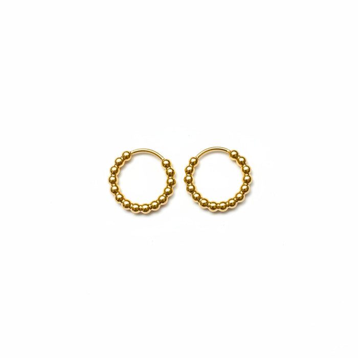 Titanium Hoop Earrings