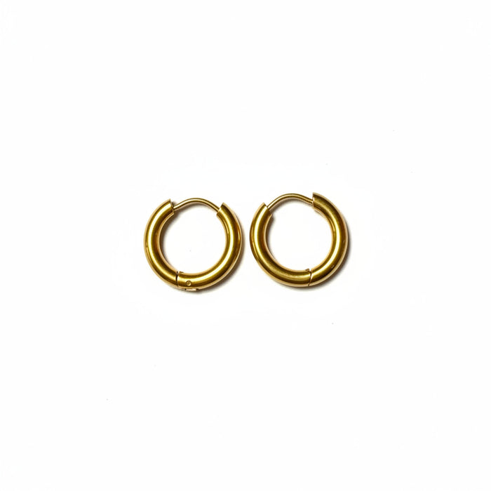 Titanium Hoop Earrings