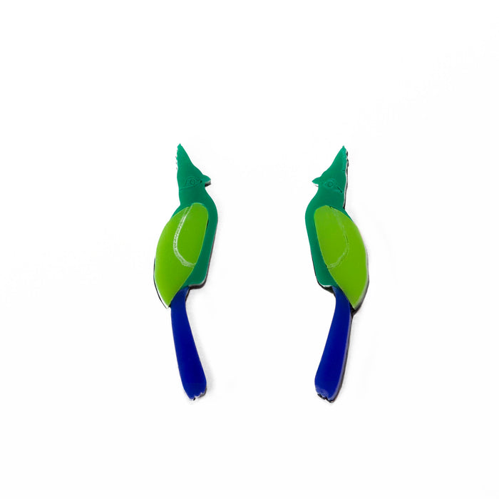 Knysna Loerie Perspex Earrings