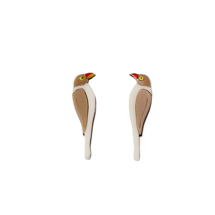 Red-billed Oxpecker Perspex Earrings